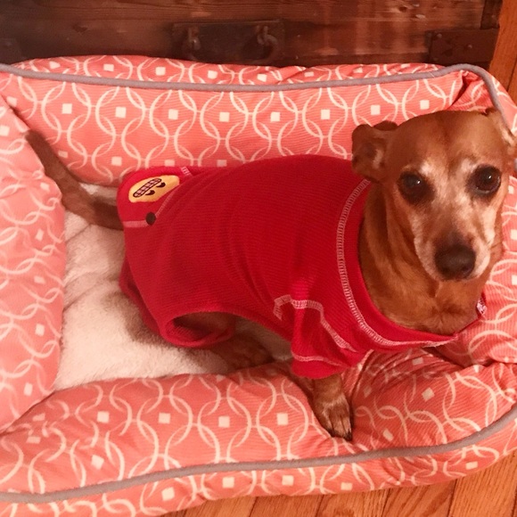 Assistant Posher, Novella - Picture 5 of 6